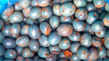 FB_IMG_1519048858861