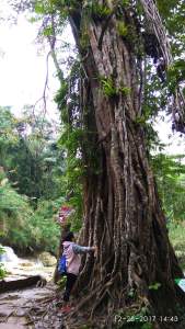 FB_IMG_1519105294220